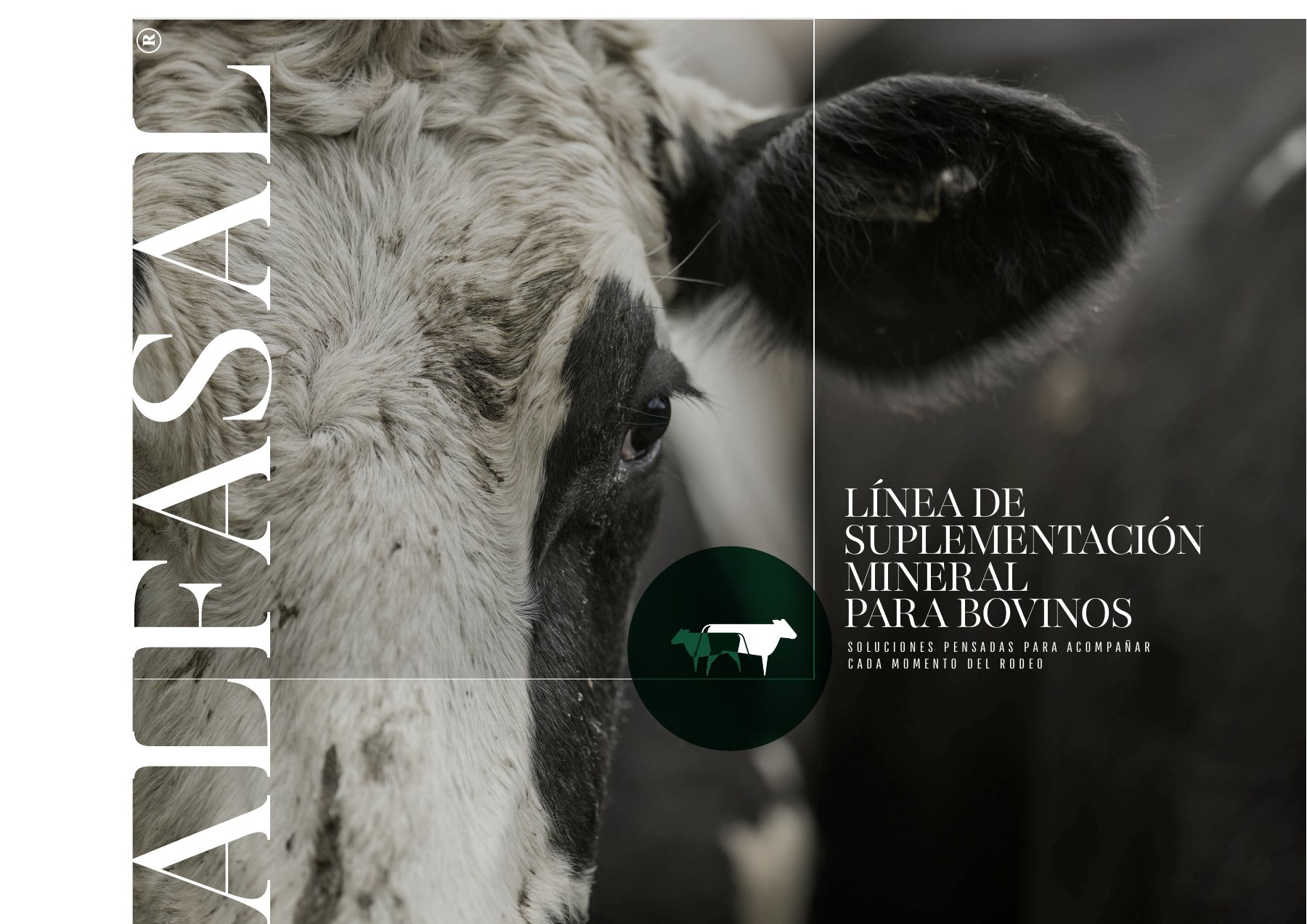 Página 1 del catálogo Alfasal
