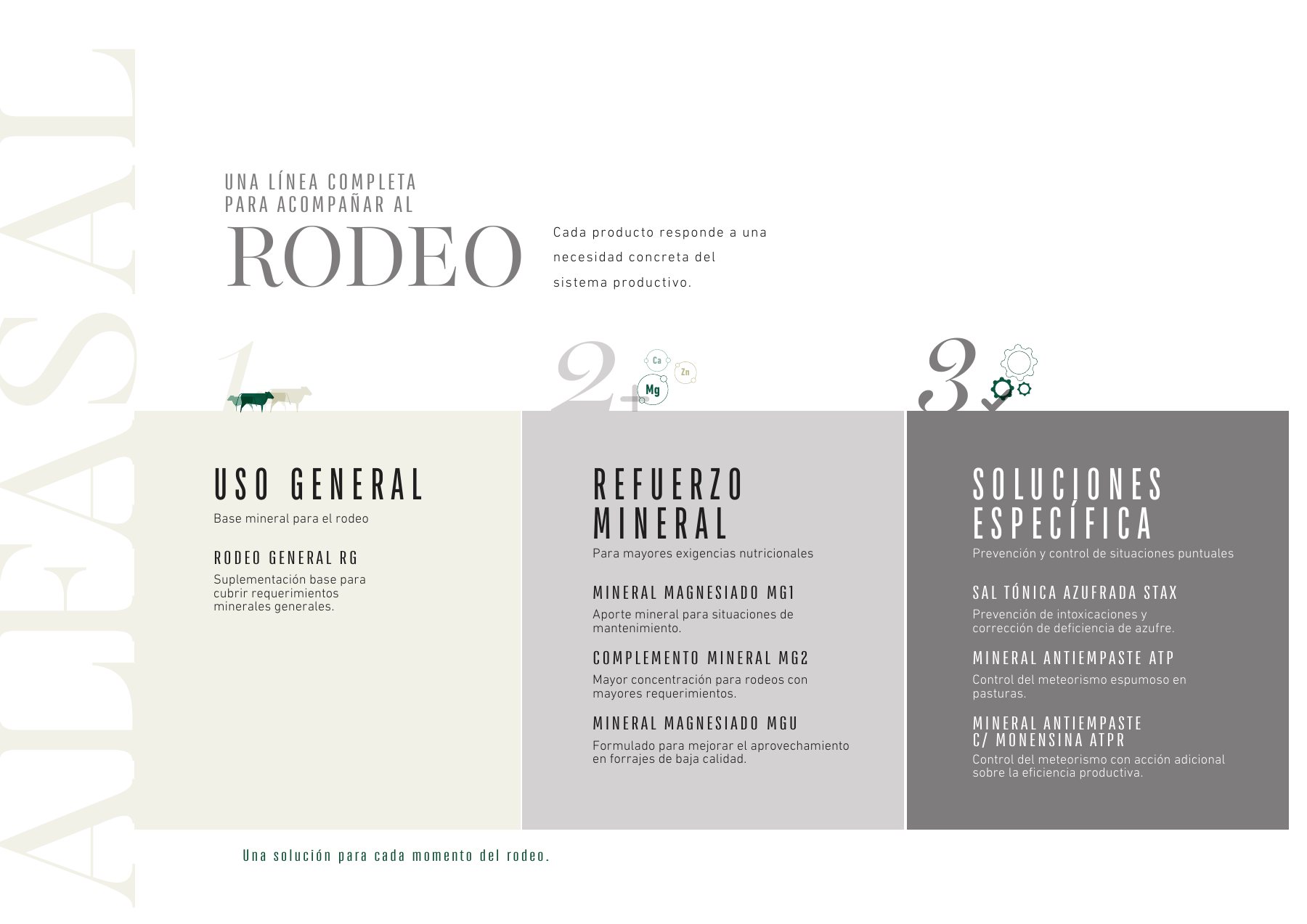 Página 3 del catálogo Alfasal